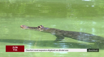 Otevření nové expozice aligátorů ve zlínské zoo
