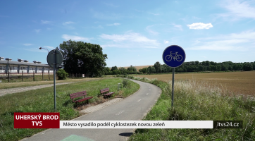 Město vysadilo podél cyklostezek novou zeleň