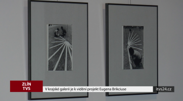 V krajské galerii je k vidění projekt Eugena Brikciuse