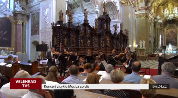 Koncert z cyklu Musica cordis