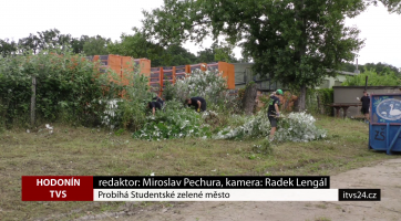 Probíhá Studentské zelené město