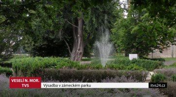 Výsadba v zámeckém parku