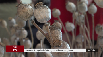 Muzeum jihovýchodní Moravy zahájilo novou výstavu
