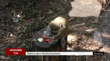 Týdenní akce Africký kontinent v hodonínské zoo
