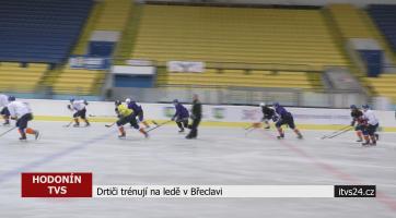 Drtiči trénují na ledě Břeclavi