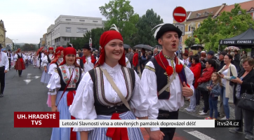 Letošní Slavnosti vína a otevřených památek doprovázel déšť