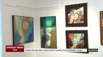 Galerie Panský dům nabízí průřez tvorbou členů SVUMSP i hostů
