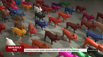 Prostory muzea zdobí výstava obrazů a plastik Jiřího Kaifosze