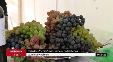 Lázeňské vinobraní v Hodoníně