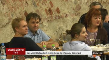 Den vína lákal na košt místních vzorků i řízenou degustaci