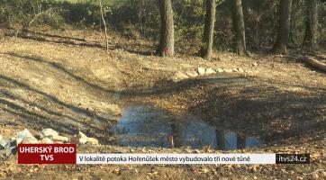 V lokalitě potoka Hořenůšek město vybudovalo tři nové tůně