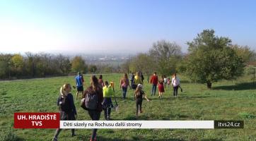 Děti sázely na Rochusu další stromy