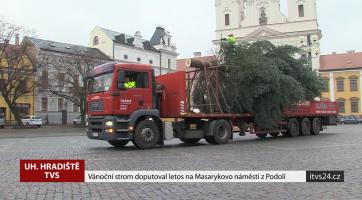 Letošní vánoční strom už doputoval na Masarykovo náměstí
