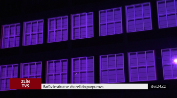 Baťův institut se zbarvil do purpurova