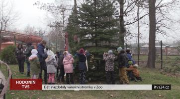 Děti nazdobily vánoční stromky v hodonínské zoo
