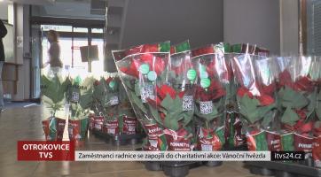 Zaměstnanci radnice se zapojili do charitativní akce