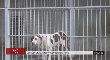 Vánoce v útulku letos vynesly rekordní sumu