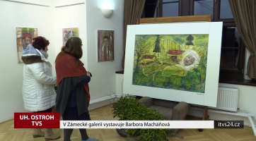 V Zámecké galerii vystavuje Barbora Macháňová
