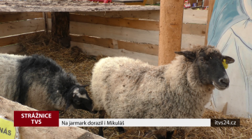 Na jarmark ve Strážnici dorazil i Mikuláš