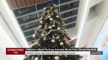 Vánoční strom splní přání dětí z dětských domovů
