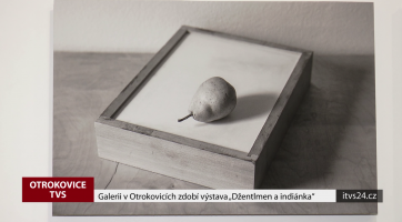 Galerii v Otrokovicích zdobí výstava "Džentlmen a indiánka"