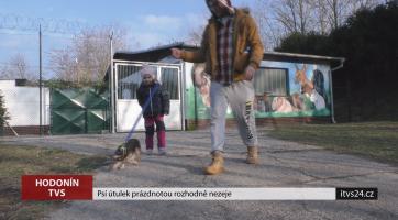Psí útulek v Hodoníně prázdnotou rozhodně nezeje