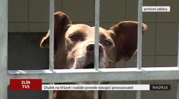 Útulek na Vršavě i nadále povede stávající provozovatel