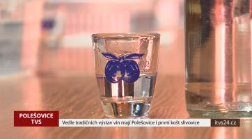 Vedle tradičních výstav vín mají Polešovice i první košt slivovice