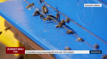 V loňském roce kraj podpořil více než 150 včelařů