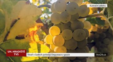 Vinaři v Sadech pořádají Degustace z gauče