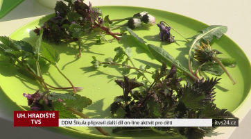 DDM Šikula připravil další díl on-line aktivit pro děti