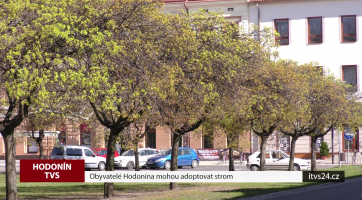 Obyvatelé Hodonína mohou adoptovat strom