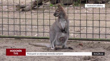 Postupně se otevírají městská zařízení