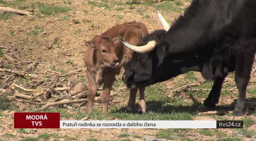 Pratuří rodinka se rozrostla o dalšího člena