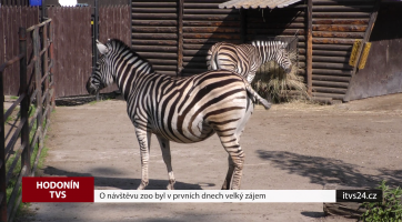O návštěvu zoo byl v prvních dnech velký zájem