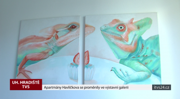 Apartmány Havlíčkova se proměnily ve výstavní galerii