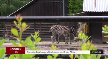 Zoo oslavila zahájení běžného provozu Dnem Afriky