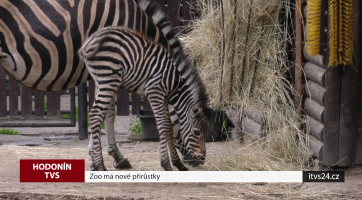 Zoo má nové přírůstky