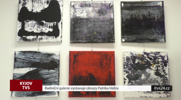 Radniční galerie vystavuje obrazy Patrika Hábla