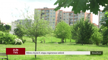 Město chystá II. etapu regenerace zeleně