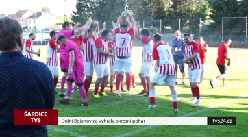 Dolní Bojanovice vyhrály okresní pohár