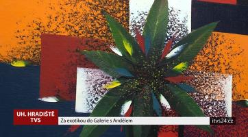 Za exotikou do Galerie s Andělem