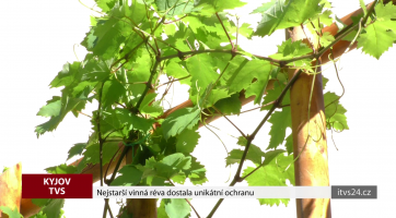 Magazín Kyjov 11. 7. 2020