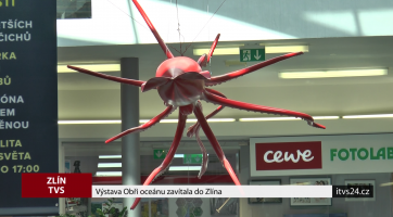 Výstava Obři oceánu zavítala do Zlína