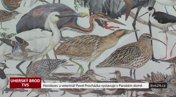 Magazín Uherský Brod 18. 7. 2020