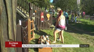 Na Žlutavské louce vystavovali regionální umělci