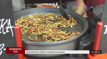 Gastrofestival nabídl i nevšední pochutiny