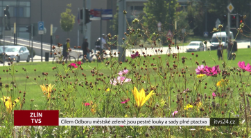 Cílem Odboru městské zeleně jsou pestré louky a sady plné ptactva