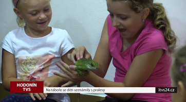 Na táboře se děti seznámily s pralesy