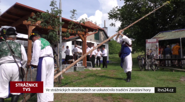 Ve strážnických vinohradech se uskutečnilo tradiční Zarážání hory	